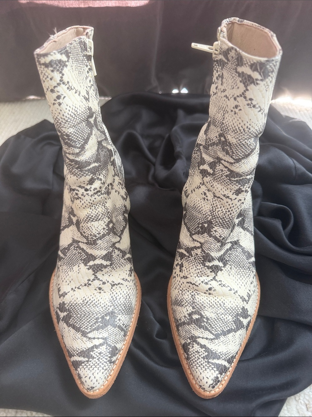 Matisse Caty Snake-Print Pointed Toe Ankle Boots - Bone/Black